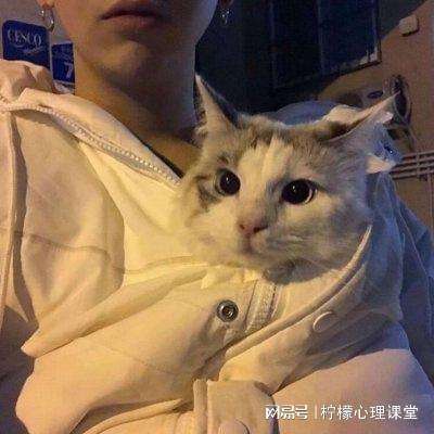 乱世纷争手游下载