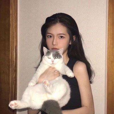 口袋妖怪进化手游下载